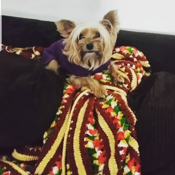 Meet your Posher, Kay - Picture 6 of 7